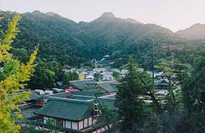 綠化養(yǎng)護(hù)管理對策