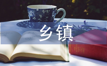 鄉(xiāng)鎮(zhèn)行政管理論文