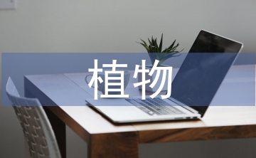 有關(guān)植物的現(xiàn)代詩