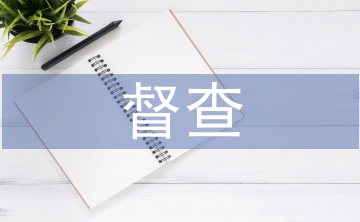迎接督查匯報材料