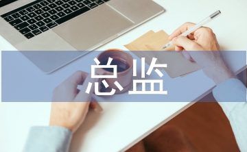 總監(jiān)轉(zhuǎn)正工作總結(jié)