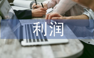 收入費(fèi)用利潤實(shí)訓(xùn)總結(jié)