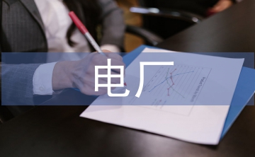 電廠電氣分散控制系統(tǒng)自動(dòng)化的應(yīng)用