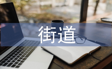 街道辦防汛工作總結(jié)