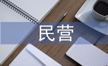 民營企業(yè)財(cái)務(wù)戰(zhàn)略管理問題與對(duì)策
