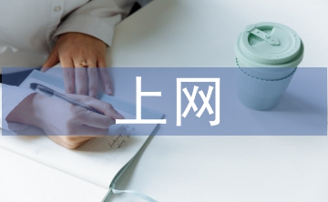 青少年上網(wǎng)調(diào)查報告