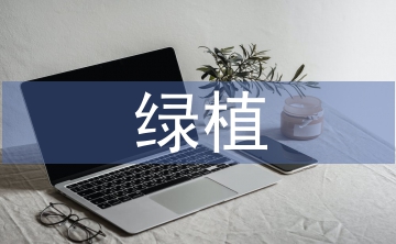 綠植電商存在的問(wèn)題與對(duì)策3篇