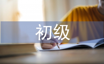 初級(jí)會(huì)計(jì)論文