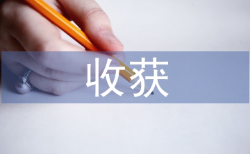 對(duì)納稅籌劃的認(rèn)識(shí)與收獲