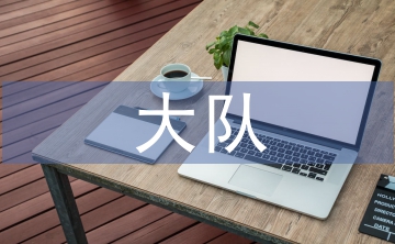 大隊(duì)委工作自我評價