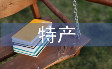 電子商務特產銷售系統技術分析