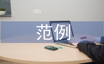 年度述職報告范例