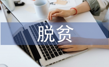 村級脫貧攻堅整改報告
