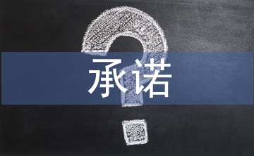 合規(guī)履職承諾報(bào)告