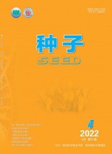 種子