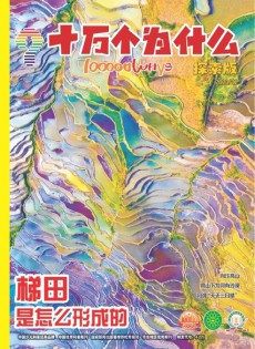 十萬(wàn)個(gè)為什么雜志