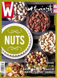 世界知識畫報(bào)雜志
