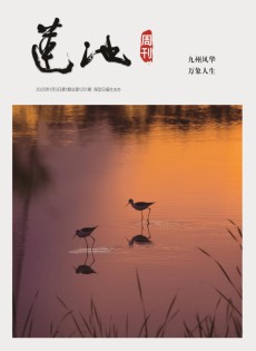 蓮池周刊