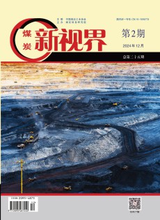 煤炭新視界