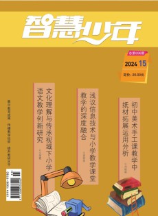 智慧少年